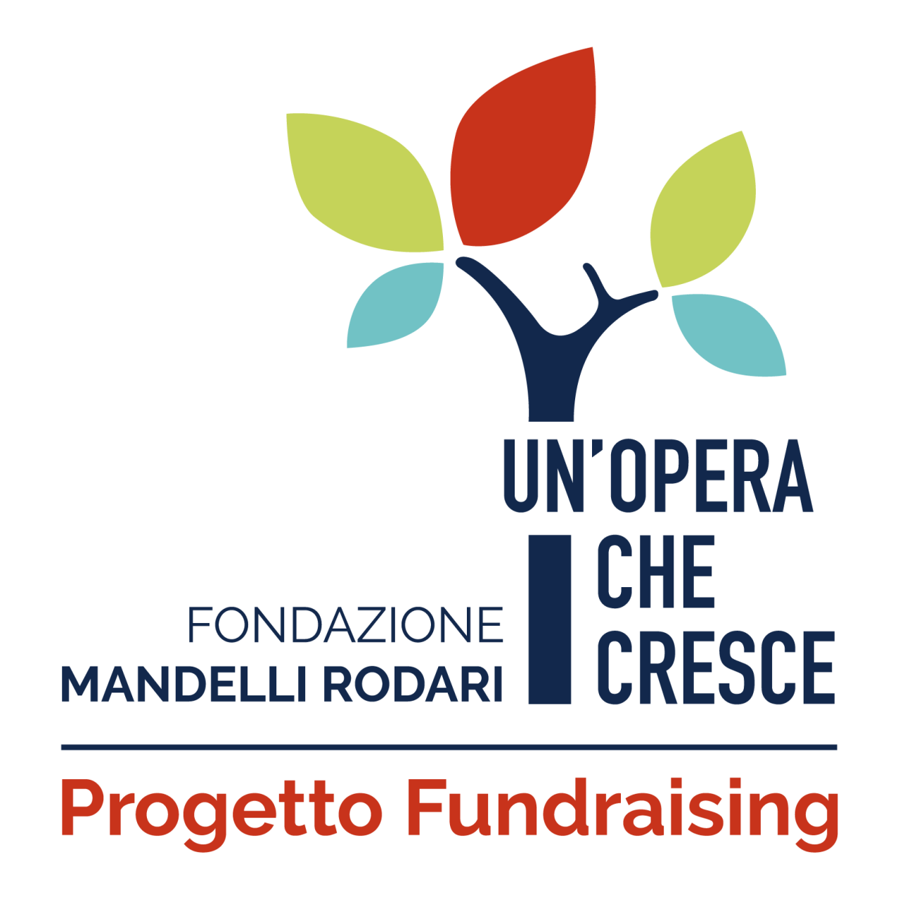 Progetto-Fundraising_FMR