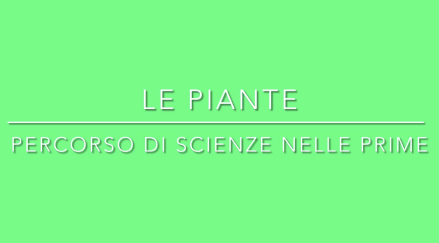 percorso-sulle-piante-prime-medie-scuola-andrea-mandelli