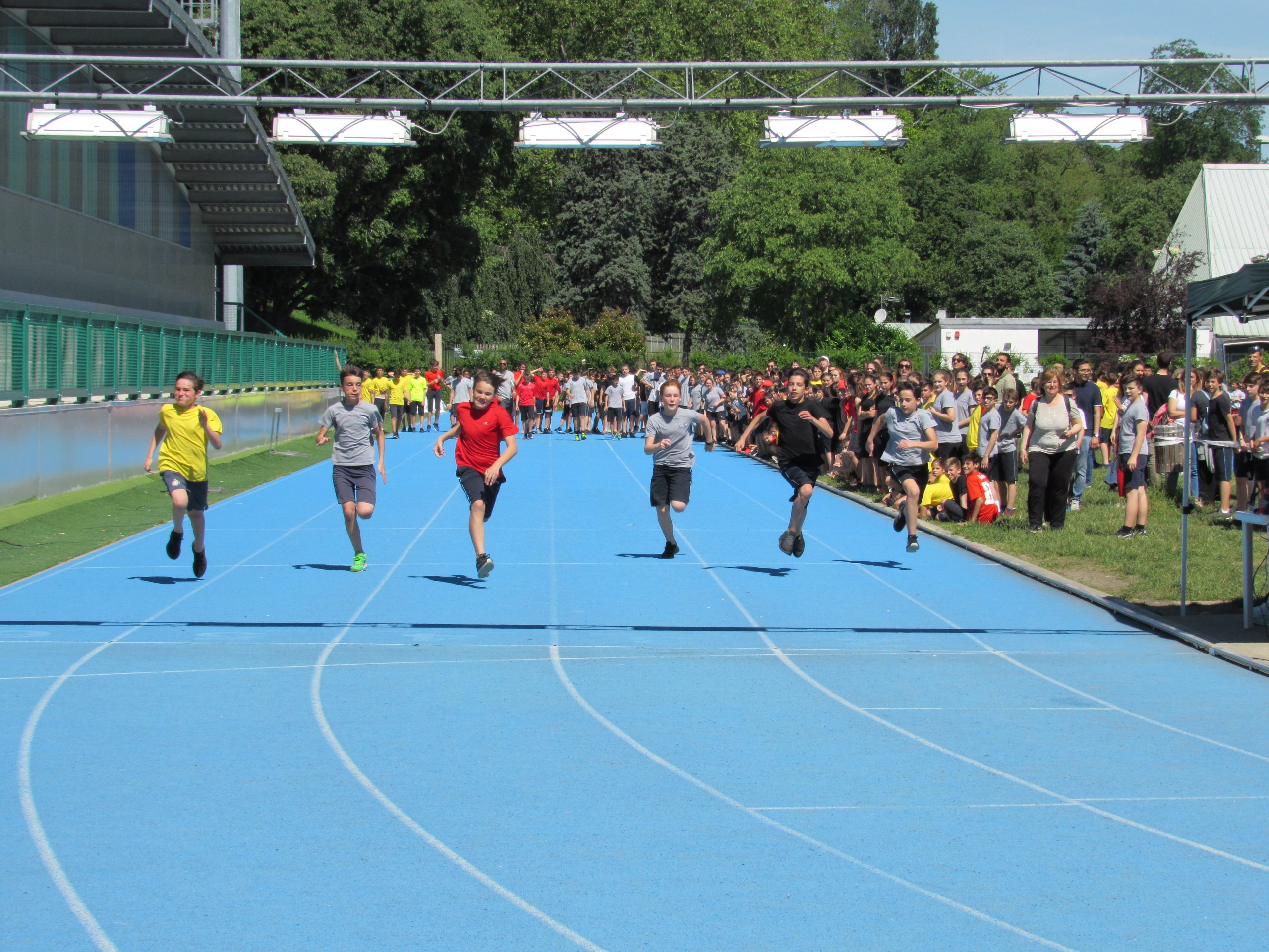 educazione-fisica-scuola-secondaria-andrea-mandelli