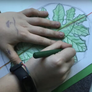 Indagare la complessità nella geometria in quarta elementare