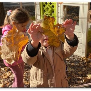 Autunno è quando cadono le foglie: domande e risposte dei bambini della Scuola dell’Infanzia