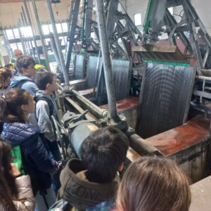 Imparare osservando: un modo diverso di fare scuola
